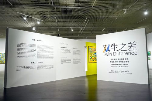在坪山聆听双子星的对话——从王澎、林璇“双生”个展看差异与共生的艺术之美